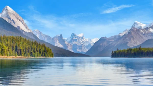 Amex Free Year of Calm Will Be Ending Soon. Here is how you can continue with 87% off